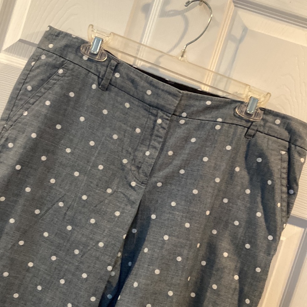 J. Crew Light Blue Polka Dots Pants SZ 12